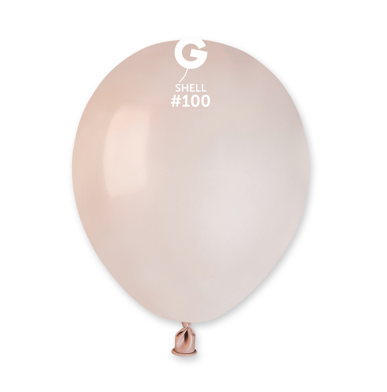 5 inch - #100 Shell Standard Color Gemar- 100 PC