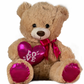 20" Stuffed Plush Valentine's Bear - Brown & Hot Pink | [Large Size]