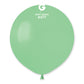 G150: #077 Mint Green Standard Color 19 in